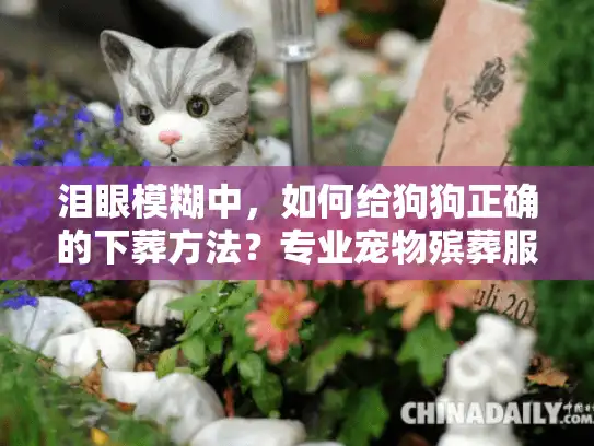 泪眼模糊中，如何给狗狗正确的下葬方法？专业宠物殡葬服务指南