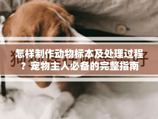 怎样制作动物标本及处理过程？宠物主人必备的完整指南