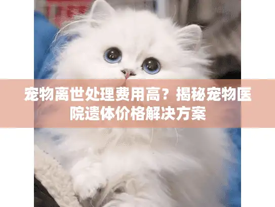 宠物离世处理费用高？揭秘宠物医院遗体价格解决方案