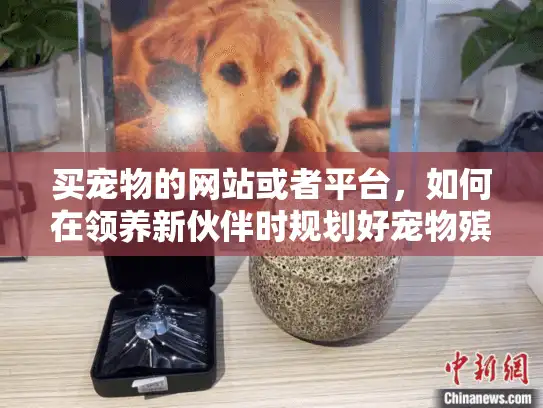 买宠物的网站或者平台，如何在领养新伙伴时规划好宠物殡葬服务？