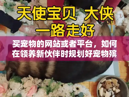 买宠物的网站或者平台，如何在领养新伙伴时规划好宠物殡葬服务？
