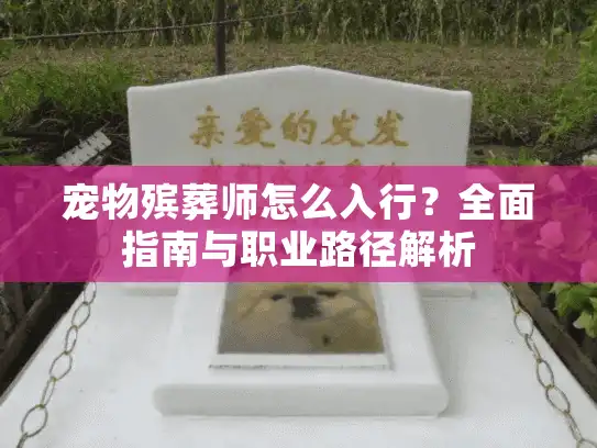 宠物殡葬师怎么入行？全面指南与职业路径解析