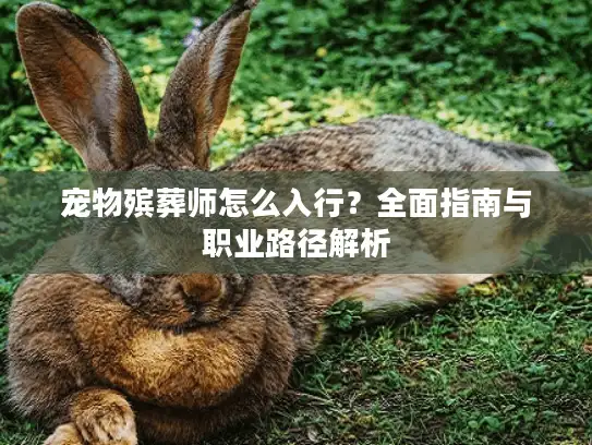 宠物殡葬师怎么入行？全面指南与职业路径解析