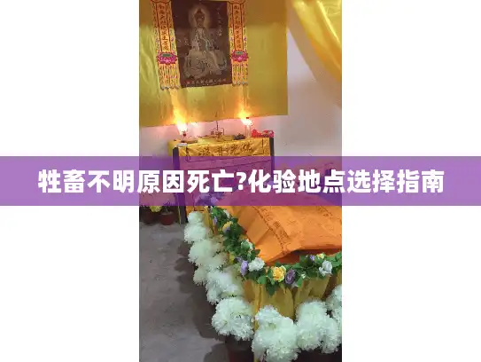 牲畜不明原因死亡?化验地点选择指南