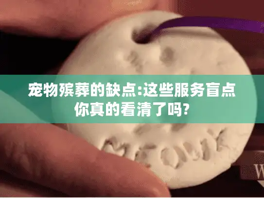 宠物殡葬的缺点:这些服务盲点你真的看清了吗?