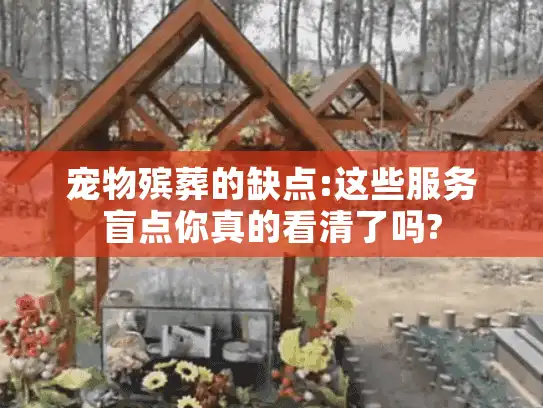 宠物殡葬的缺点:这些服务盲点你真的看清了吗?