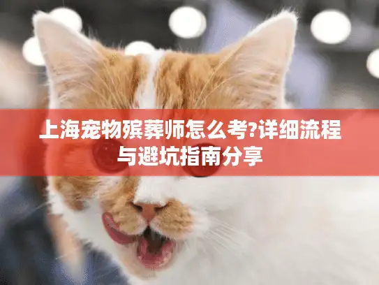 上海宠物殡葬师怎么考?详细流程与避坑指南分享