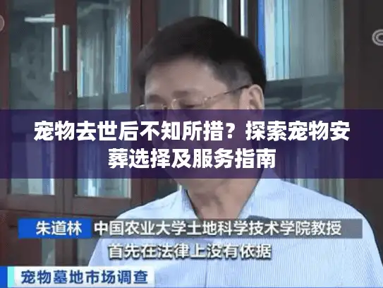宠物去世后不知所措？探索宠物安葬选择及服务指南