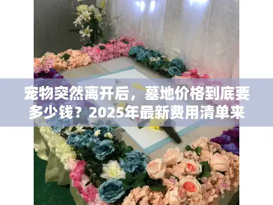 宠物突然离开后，墓地价格到底要多少钱？2025年最新费用清单来了