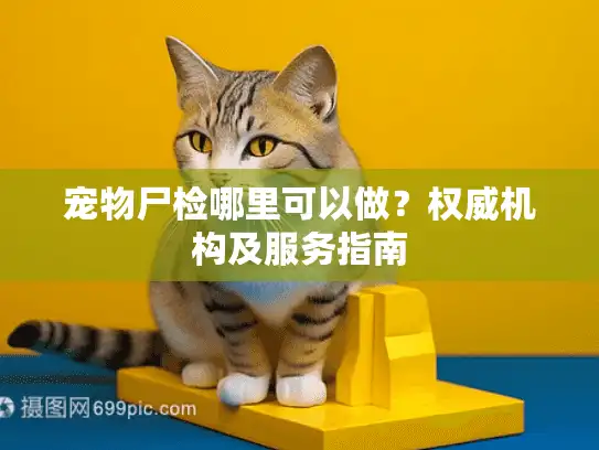 宠物尸检哪里可以做？权威机构及服务指南
