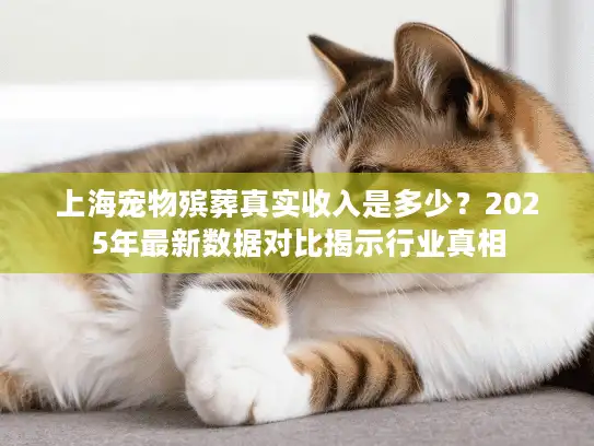 上海宠物殡葬真实收入是多少？2025年最新数据对比揭示行业真相