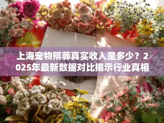 上海宠物殡葬真实收入是多少？2025年最新数据对比揭示行业真相