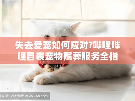 失去爱宠如何应对?哔哩哔哩目表宠物殡葬服务全指南