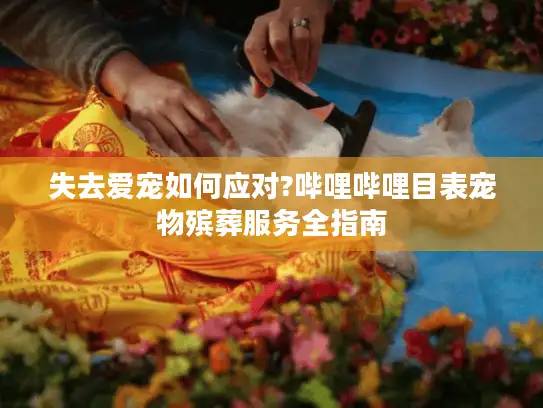 失去爱宠如何应对?哔哩哔哩目表宠物殡葬服务全指南