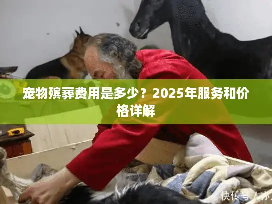 宠物殡葬费用是多少？2025年服务和价格详解