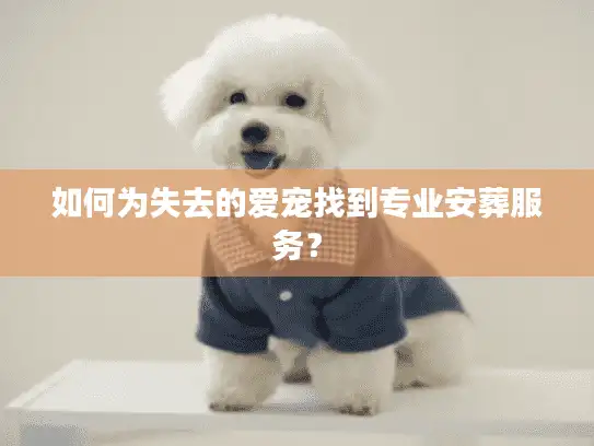 如何为失去的爱宠找到专业安葬服务？