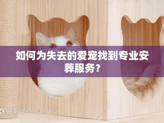 如何为失去的爱宠找到专业安葬服务？