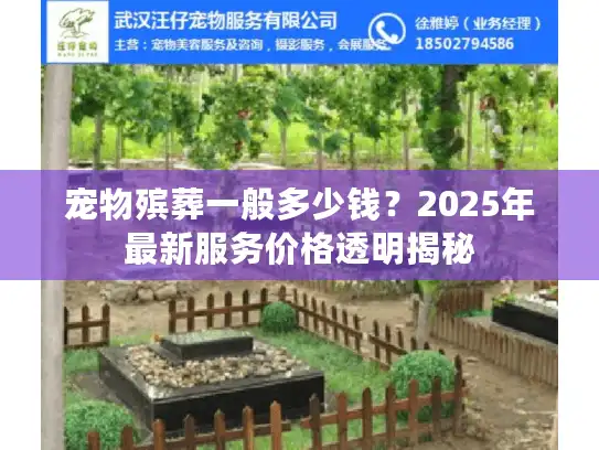 宠物殡葬一般多少钱？2025年最新服务价格透明揭秘
