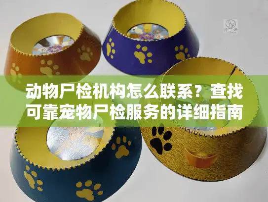 动物尸检机构怎么联系？查找可靠宠物尸检服务的详细指南