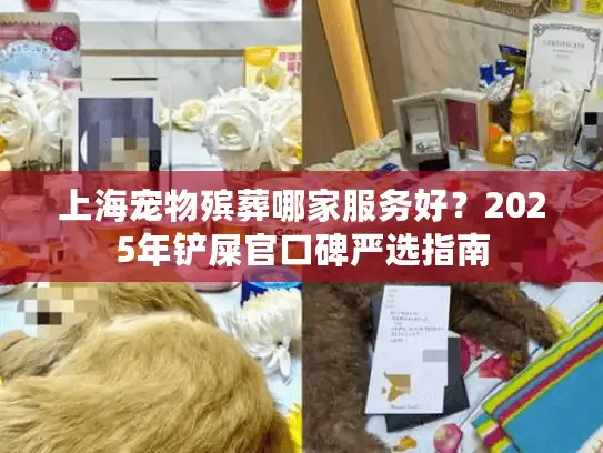 上海宠物殡葬哪家服务好？2025年铲屎官口碑严选指南