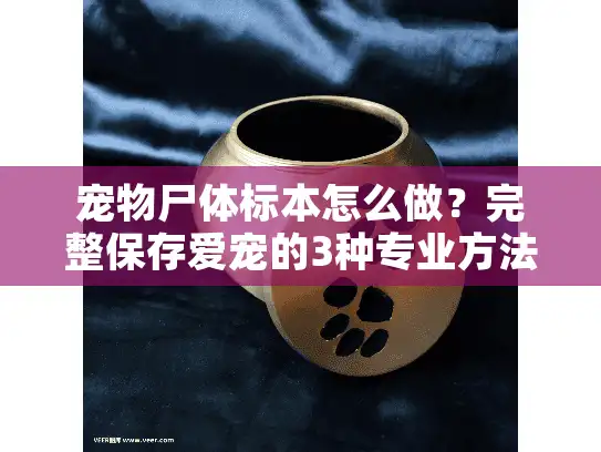 宠物尸体标本怎么做？完整保存爱宠的3种专业方法