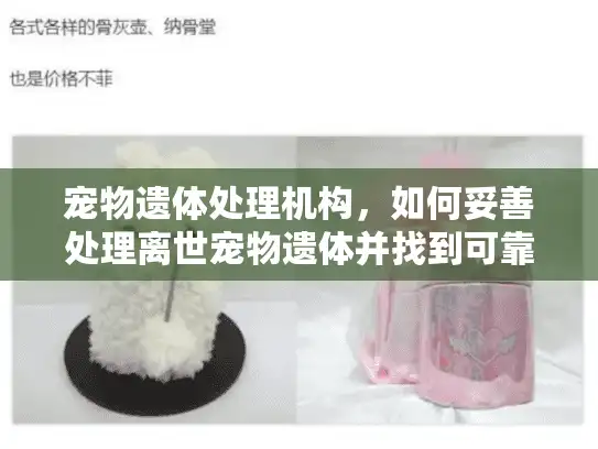 宠物遗体处理机构，如何妥善处理离世宠物遗体并找到可靠服务？