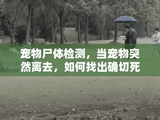宠物尸体检测，当宠物突然离去，如何找出确切死因？