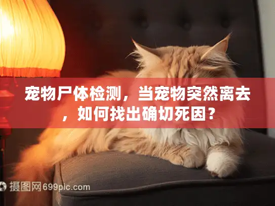 宠物尸体检测，当宠物突然离去，如何找出确切死因？