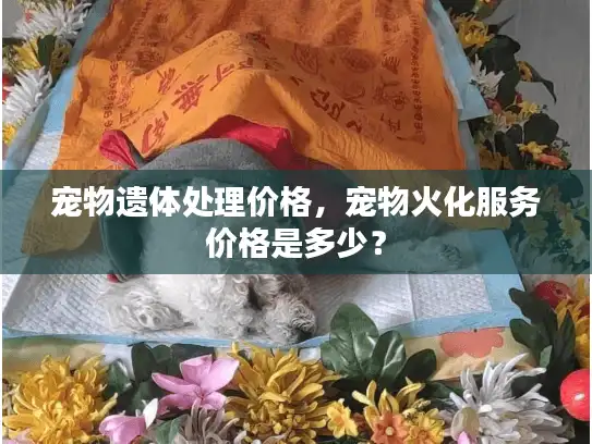 宠物遗体处理价格，宠物火化服务价格是多少？