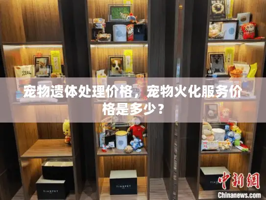 宠物遗体处理价格，宠物火化服务价格是多少？