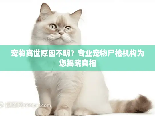 宠物离世原因不明？专业宠物尸检机构为您揭晓真相