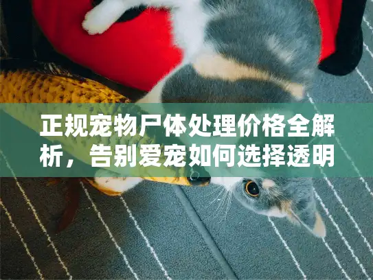 正规宠物尸体处理价格全解析，告别爱宠如何选择透明合理的善终服务？