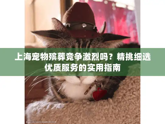 上海宠物殡葬竞争激烈吗？精挑细选优质服务的实用指南
