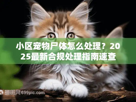 小区宠物尸体怎么处理？2025最新合规处理指南速查