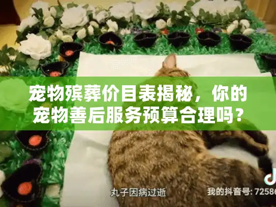 宠物殡葬价目表揭秘，你的宠物善后服务预算合理吗？