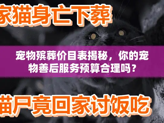 宠物殡葬价目表揭秘，你的宠物善后服务预算合理吗？