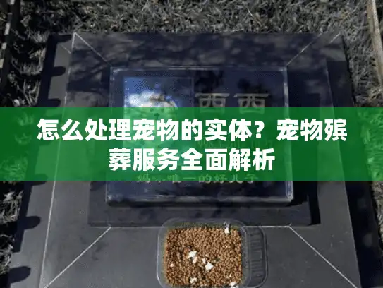 怎么处理宠物的实体？宠物殡葬服务全面解析