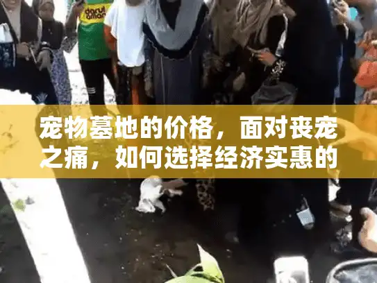 宠物墓地的价格，面对丧宠之痛，如何选择经济实惠的宠物殡葬服务？