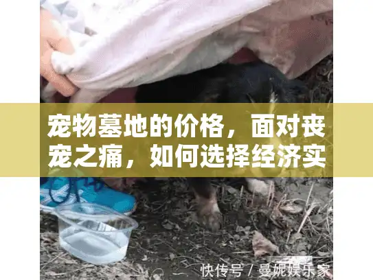 宠物墓地的价格，面对丧宠之痛，如何选择经济实惠的宠物殡葬服务？