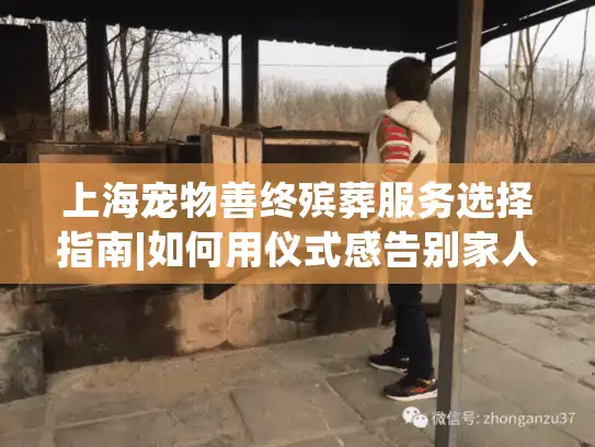 上海宠物善终殡葬服务选择指南|如何用仪式感告别家人