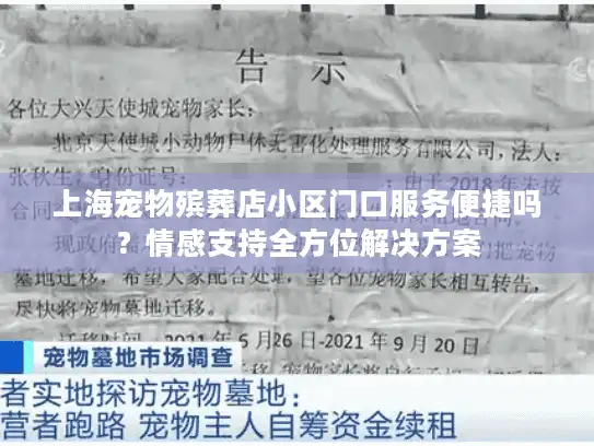 上海宠物殡葬店小区门口服务便捷吗？情感支持全方位解决方案