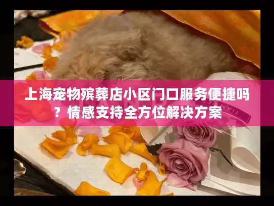 上海宠物殡葬店小区门口服务便捷吗？情感支持全方位解决方案
