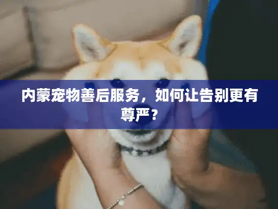 内蒙宠物善后服务，如何让告别更有尊严？