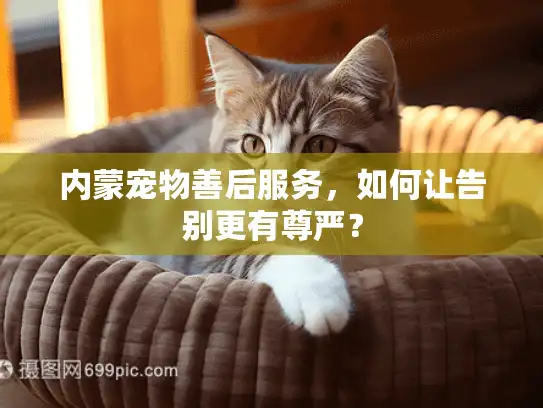 内蒙宠物善后服务，如何让告别更有尊严？