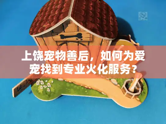 上饶宠物善后，如何为爱宠找到专业火化服务？