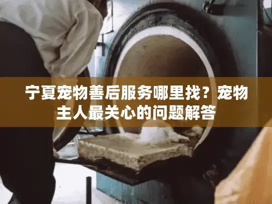 宁夏宠物善后服务哪里找？宠物主人最关心的问题解答