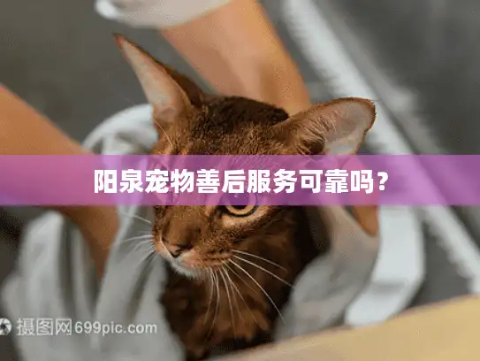 阳泉宠物善后服务可靠吗？