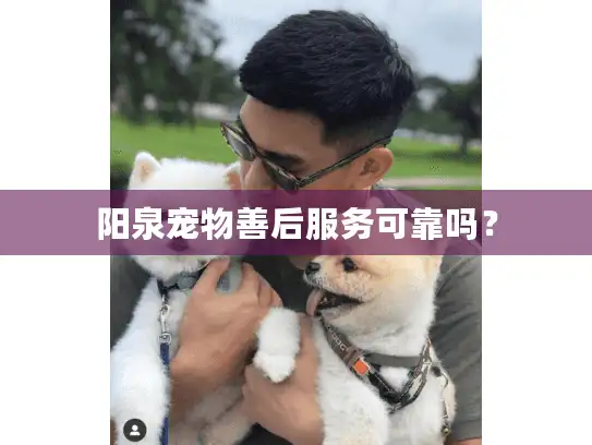 阳泉宠物善后服务可靠吗？
