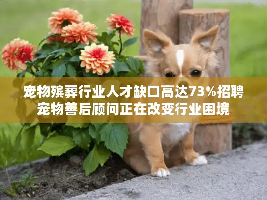 宠物殡葬行业人才缺口高达73%招聘宠物善后顾问正在改变行业困境
