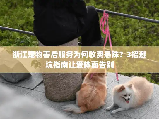 浙江宠物善后服务为何收费悬殊？3招避坑指南让爱体面告别